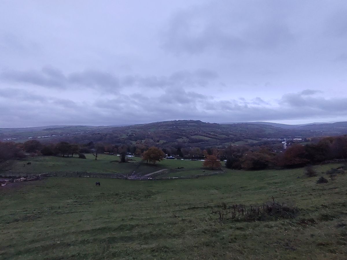 Moto G9 Plus camera sample
