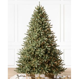 A tall Classic Blue Spruce Tree with pre-lit fairy lights, against a white paneled wall