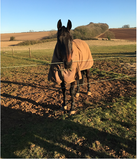Sprinter Sacre