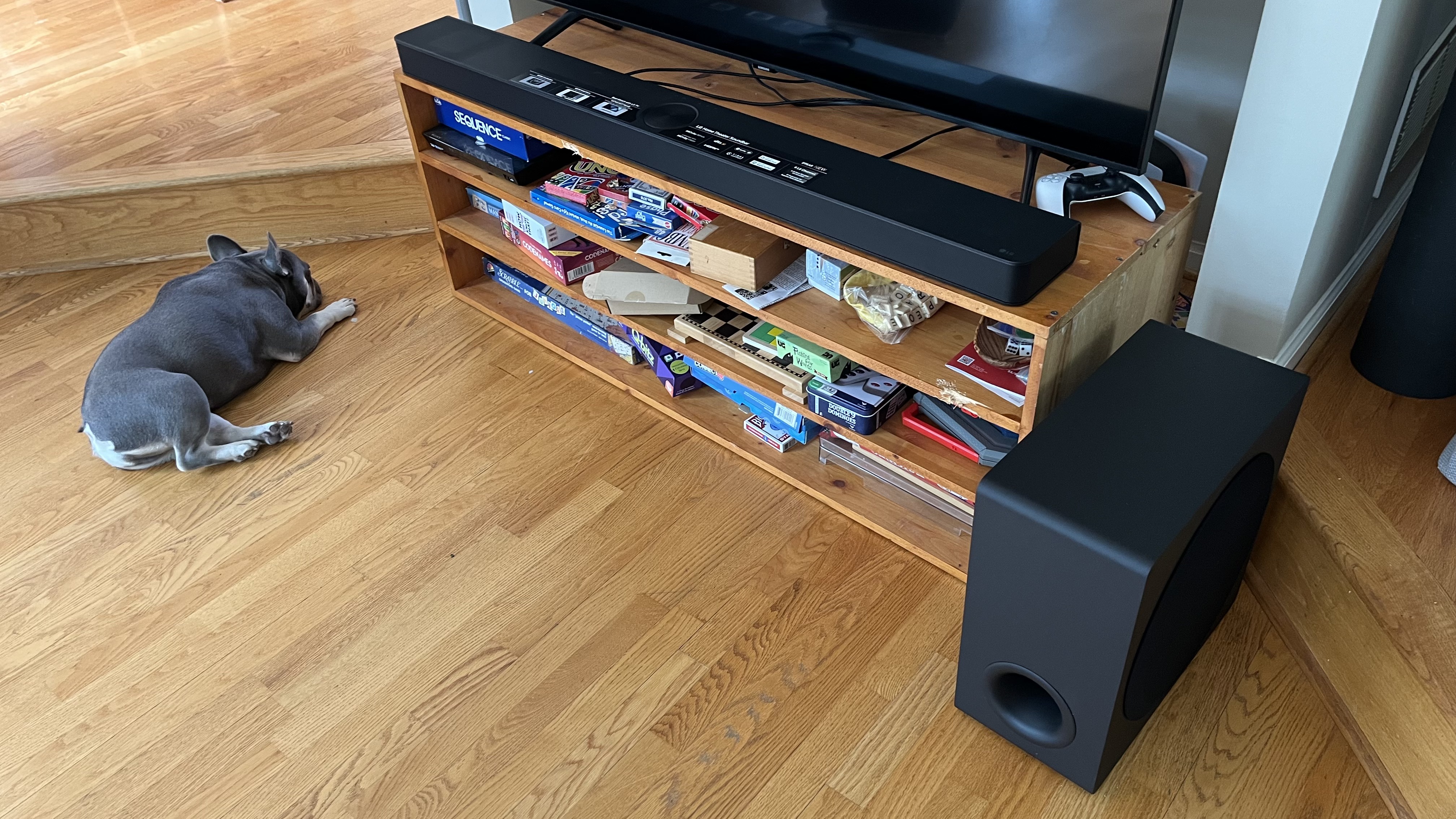 LG S95AR on TV stand with subwoofer and sleeping doggo