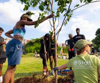 Community planting trees in local park