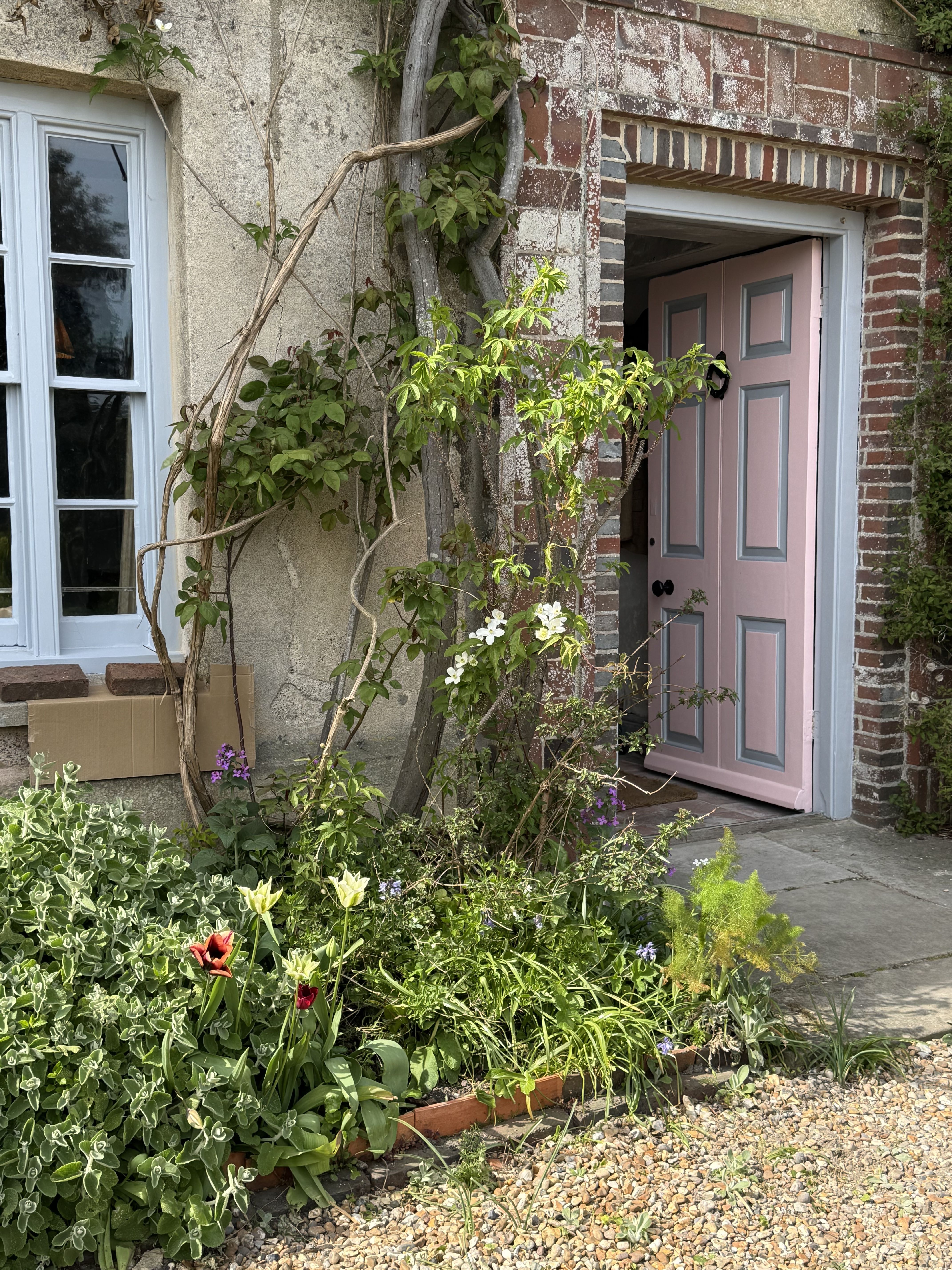 Sun-filled grounds of a countryside house, with in-bloom tulips and trailing plants.