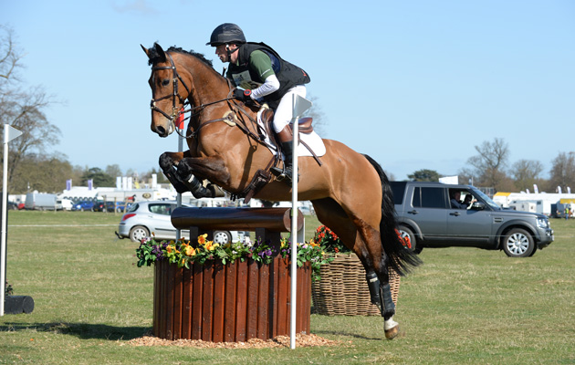 HorseNo805_Belton15pn_7285.jpg