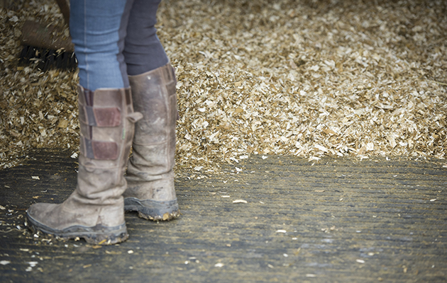 mucking out a stable with shavings bedding and rubber matting