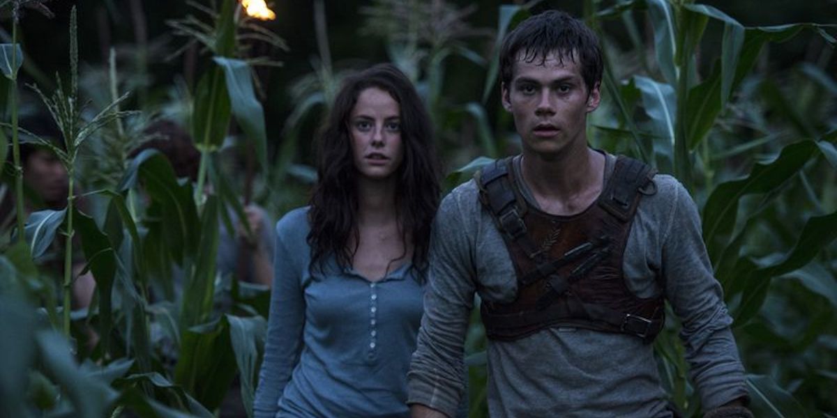 Why We Didnt See More Maze Runner Movies Cinemablend 