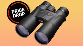 Nikon Prostaff 5 12x50 on a red to yellow backdrop