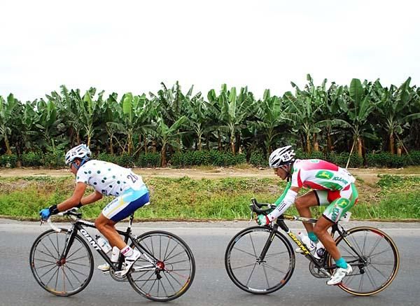 The riders pass a banana field.