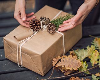 Gift decorated with pinecones