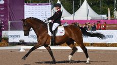 Suzanna-Hext-EU7_8480_121710212_218800642-2.jpg
