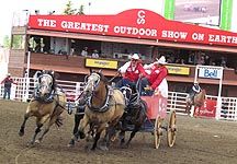 BowmansCalgaryStampede.jpg
