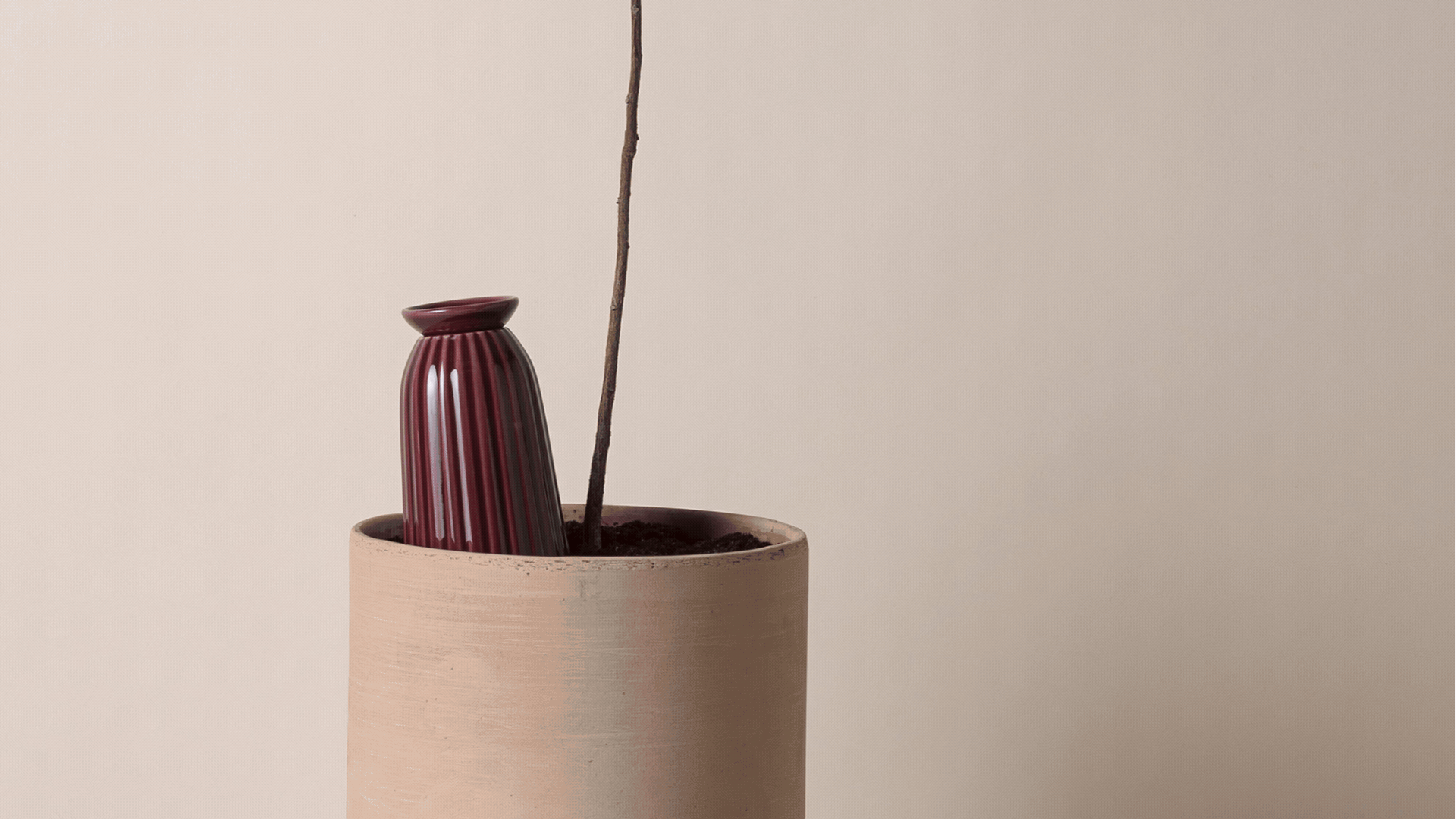 A GIF of Cove Water Cacti from Bergs Potter