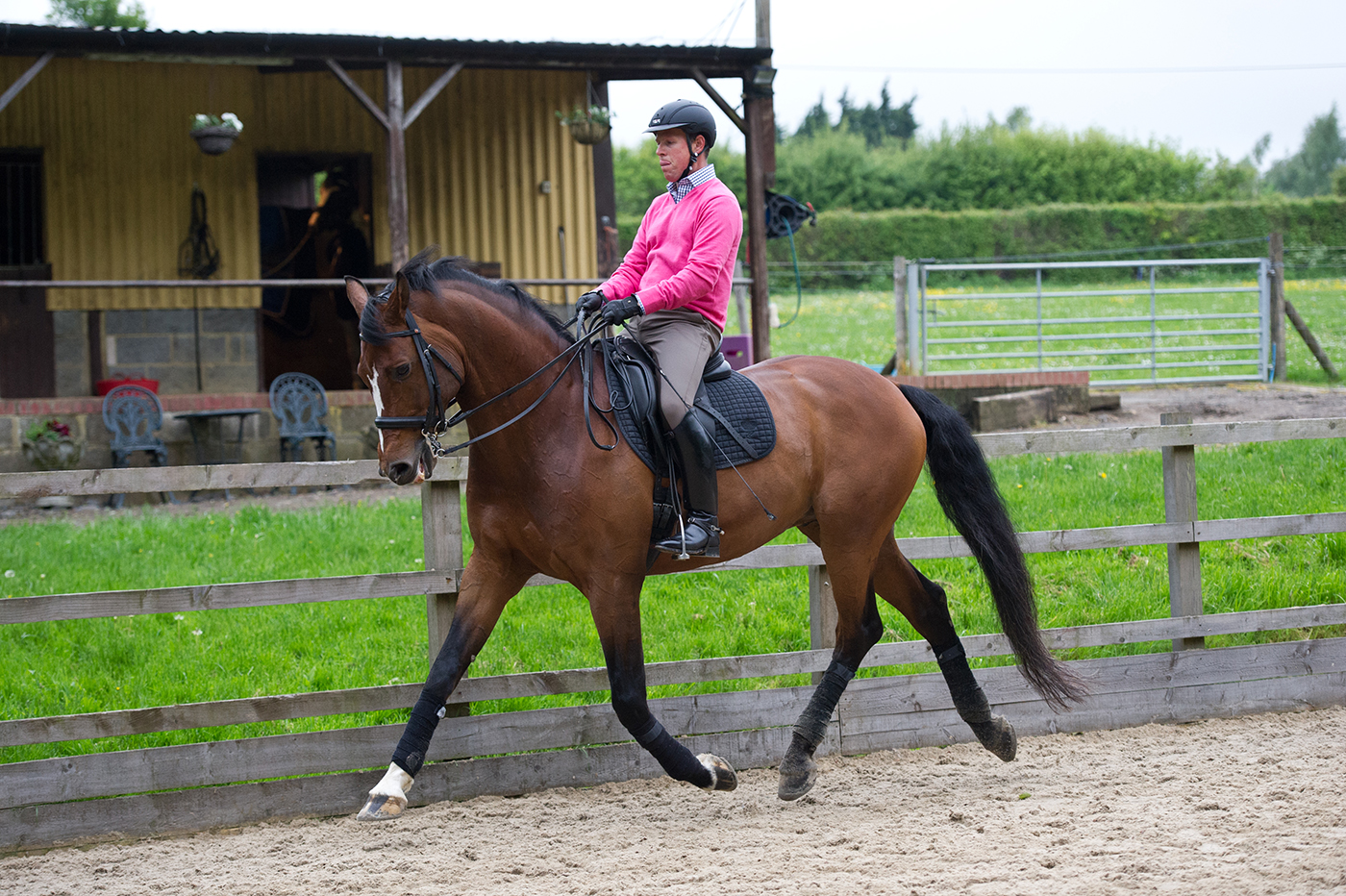 Stock shoot with Emma and Mark Butler riding Fuereblitz - dressage schooling