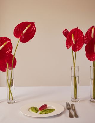 Anthurium flowers on table with food