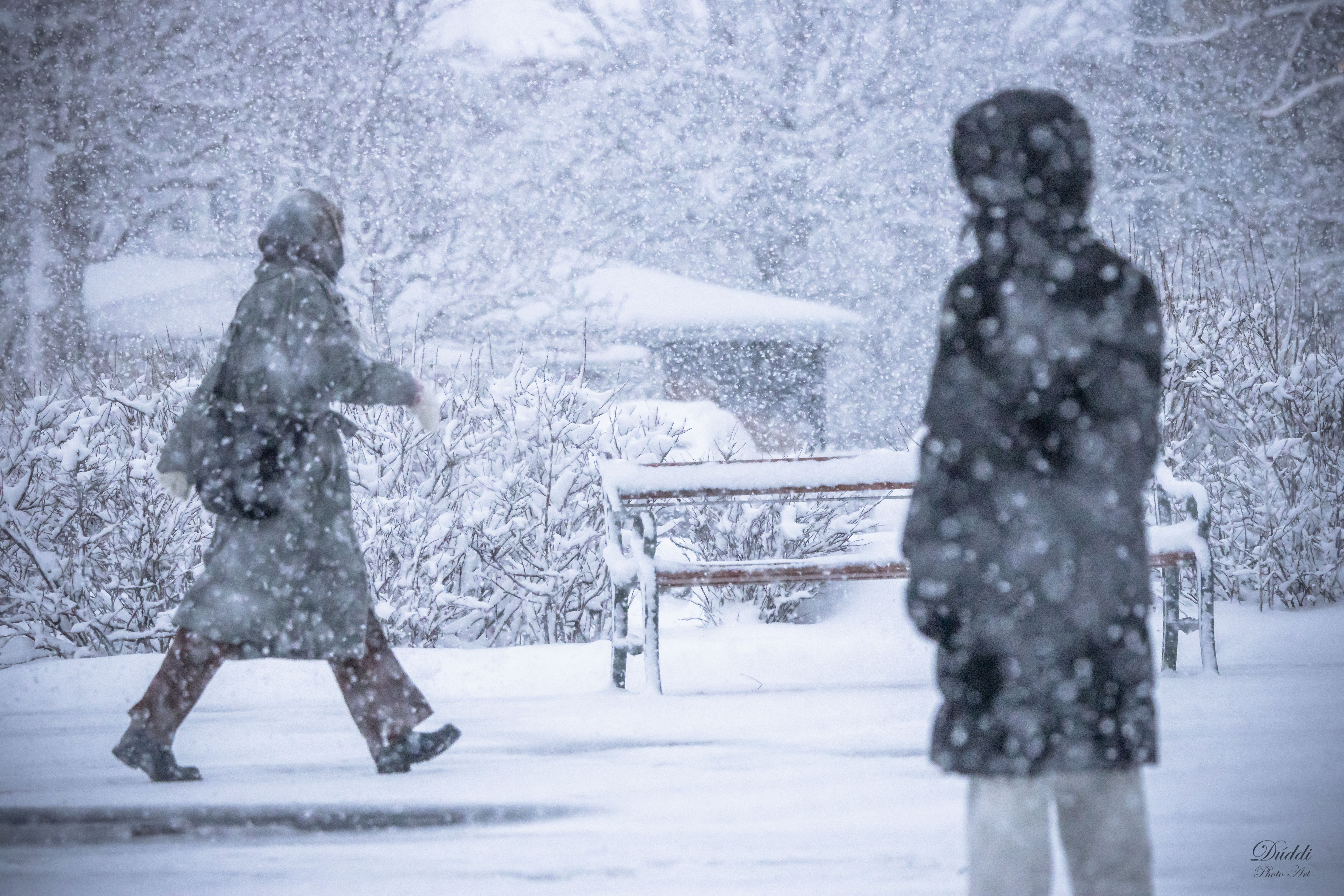 GuruShots - February 2026