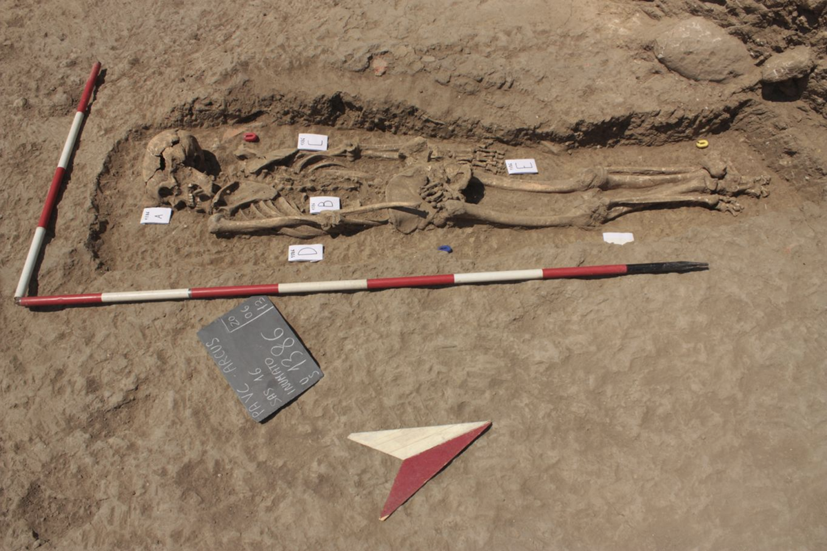 This medieval man&#039;s skeleton, bearing marks of stab wounds, was found facedown in a shallow pit in Sicily.