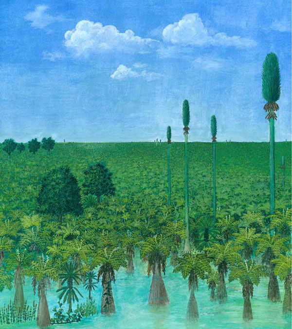 Painting of Permian Forest. An artist&#039;s painting of a tropical forest before it was preserved in volcanic ash 300 million years ago in what is now Inner Mongolia. 