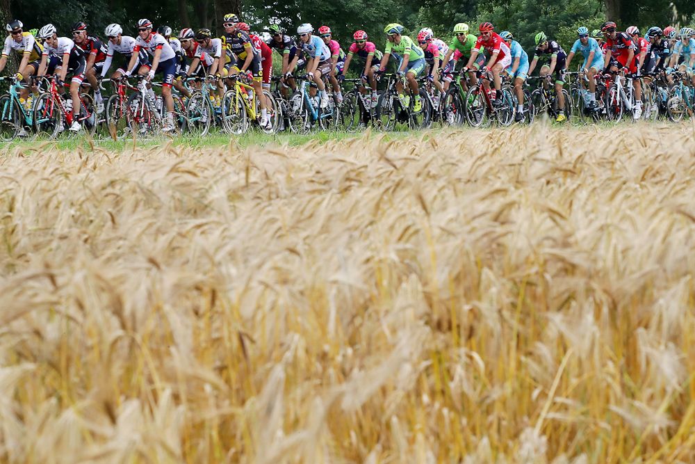 The 2016 Tour de France peloton rolls through the French countryside
