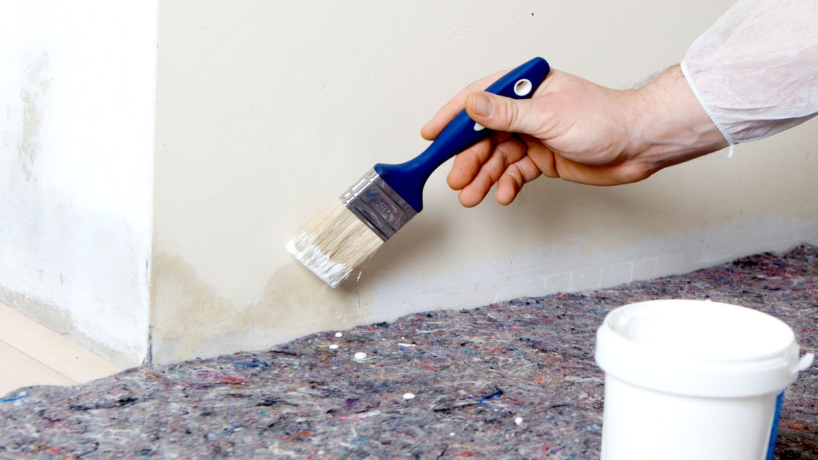 Painting over damp How to paint over damp properly Homebuilding