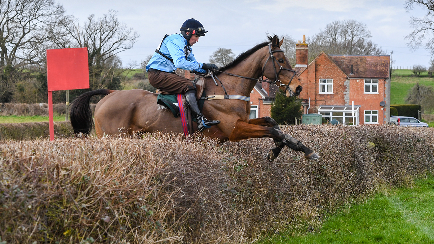 Rowan Cope riding Arthur in the Equestrian Notice Board Golden Button Challenge 2022