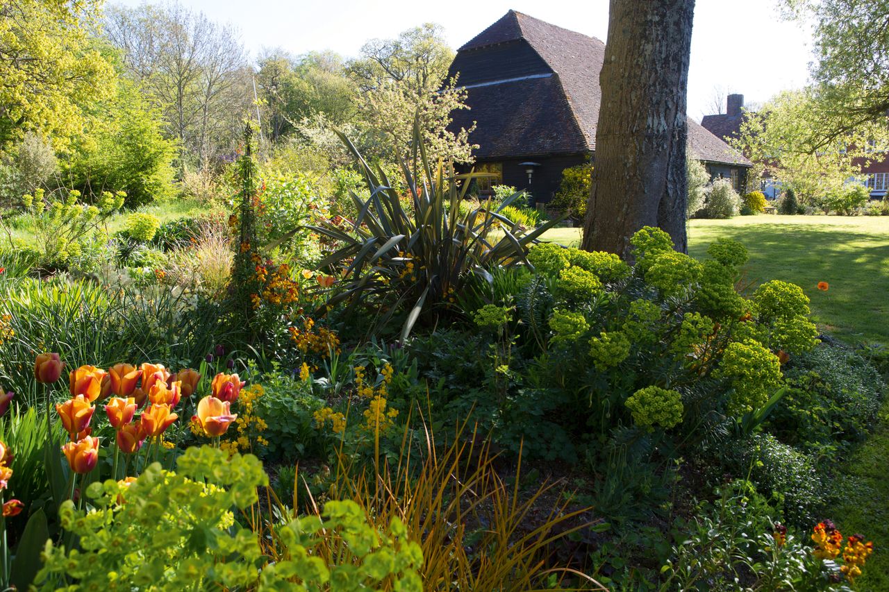 borders in a spring garden