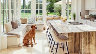 kitchen conservatory extension with dog sat near window set and kitchen island
