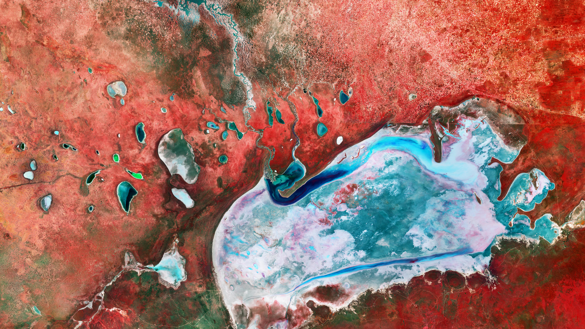 Namibian salt flats look like an alien planet | Space photo of the day for Oct. 12, 2026