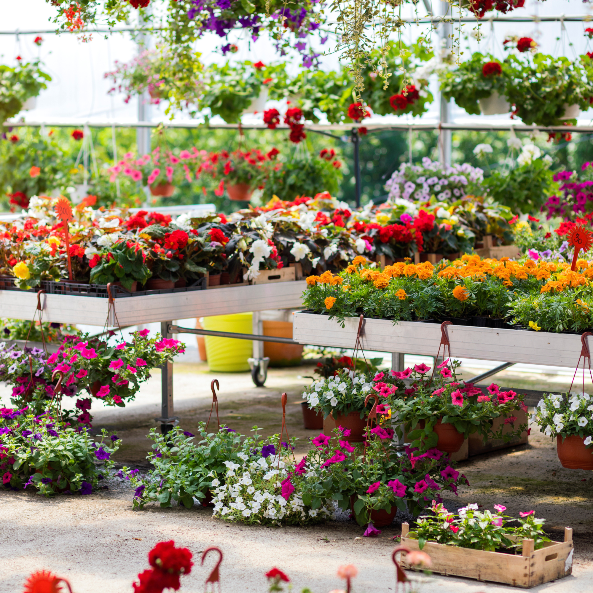 garden center