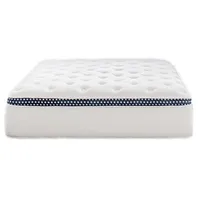 Winkbed: $300 of all mattresses