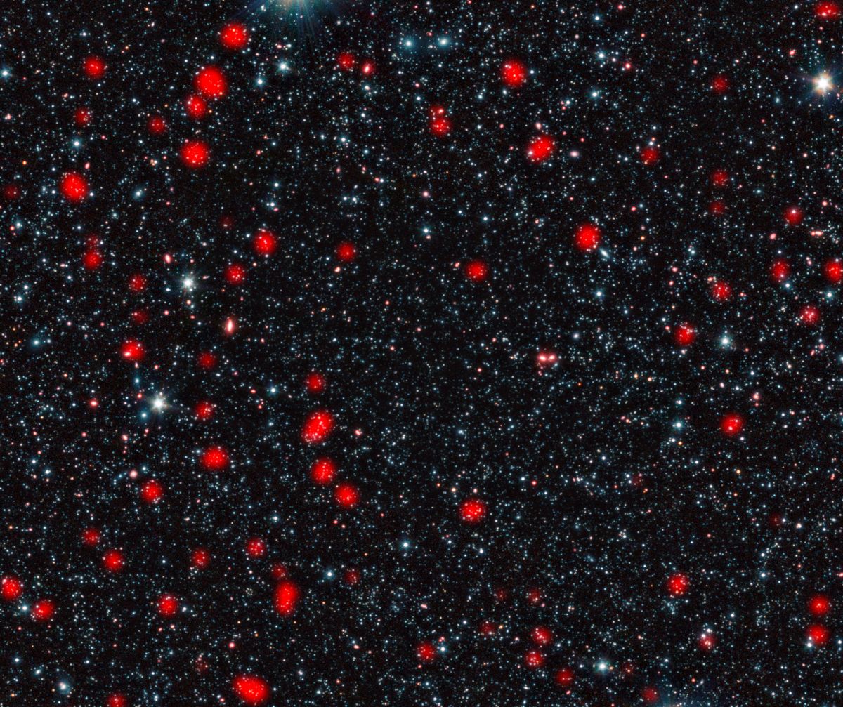 distant starburst galaxies early universe