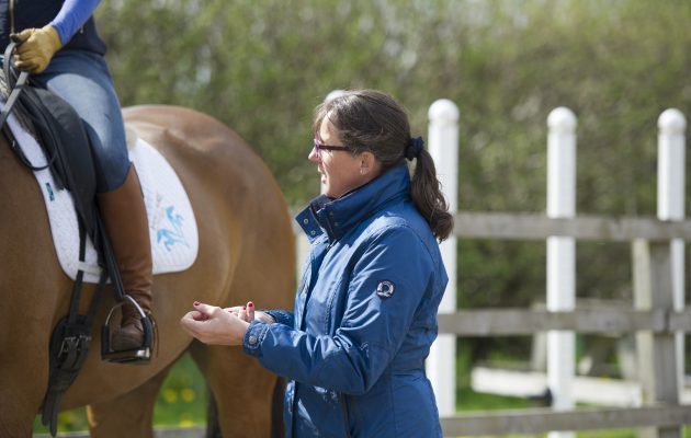 Learning to ride as an adult &ndash; learning to horse ride