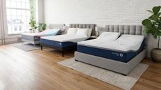 Sleep Number mattresses in white bedroom with exposed wood walls and light wood flooring, houseplants, and a large window