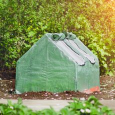 mini pop-up greenhouse in a garden