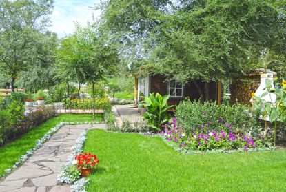 garden with cineraria edged lawn and path 