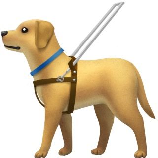 service dog with harness