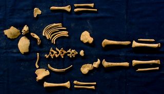 The bones of a Roman toddler from the Casal Bertone Mausoleum suggest that the 18-month old was in the process of weaning when he or she died.