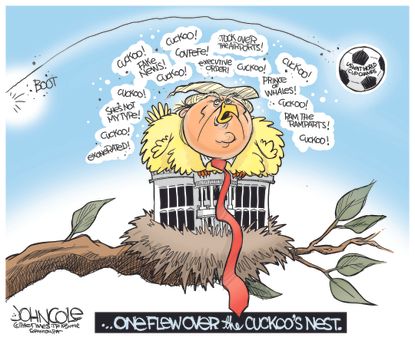 Political Cartoon U.S. Trump USWNT Champions One Flew Over the Cuckoos Nest