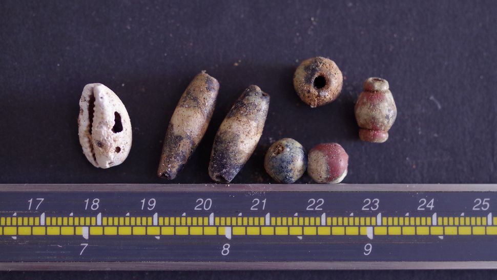 World's oldest 'pet cemetery' discovered in ancient Egypt Live Science