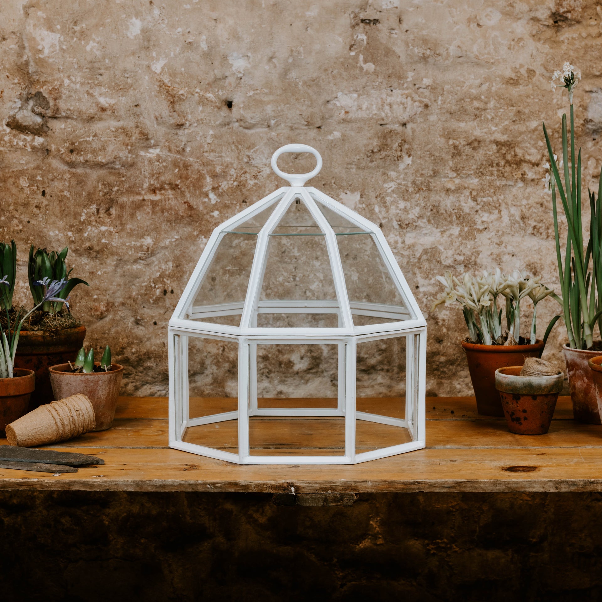 Victorian Octagonal Cloche