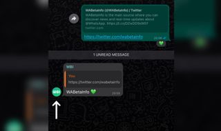 WhatsApp beta screenshot