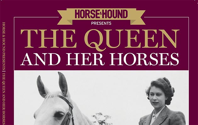 royal-queen-cover.jpg