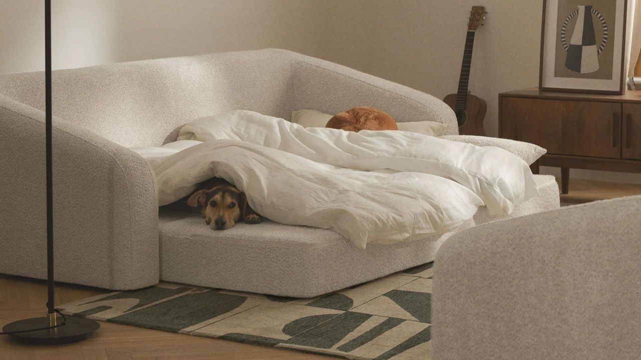 Contemporary Sofa Beds Have Had a Serious Glow-Up — These 20 Look Far Too Good to Be Guest Beds