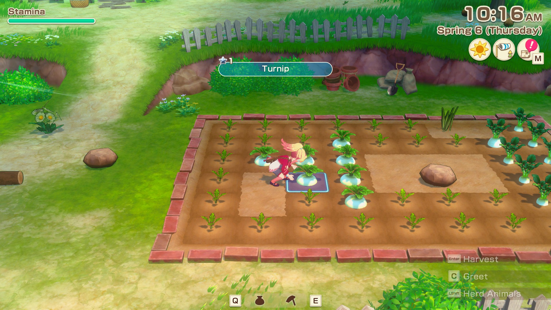 Story of Seasons Grand Bazaar
