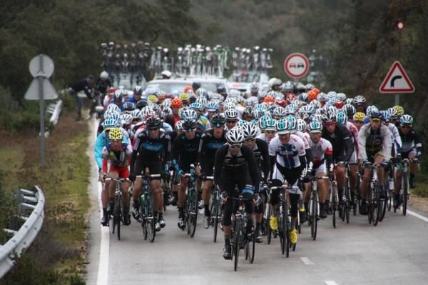 The bunch before Ameixial.