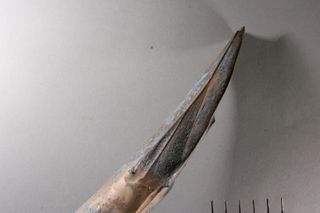 The damaged tip of the mammoth tusk.