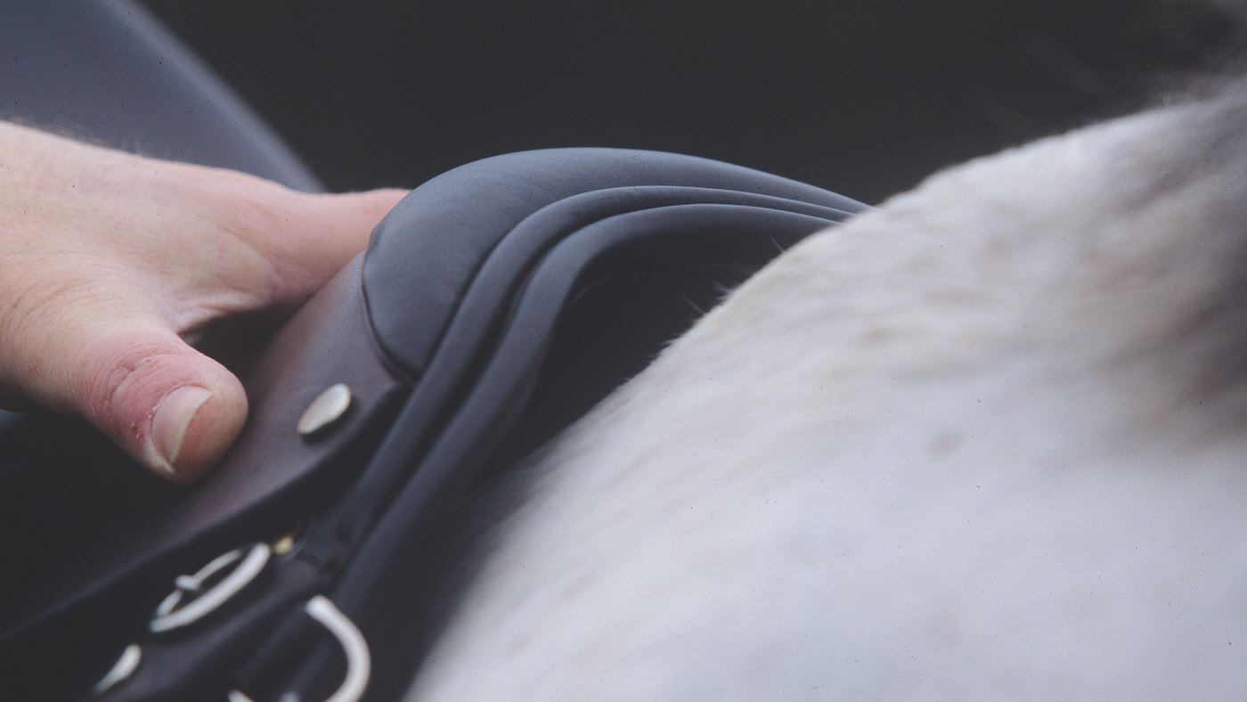 Checking saddle fit