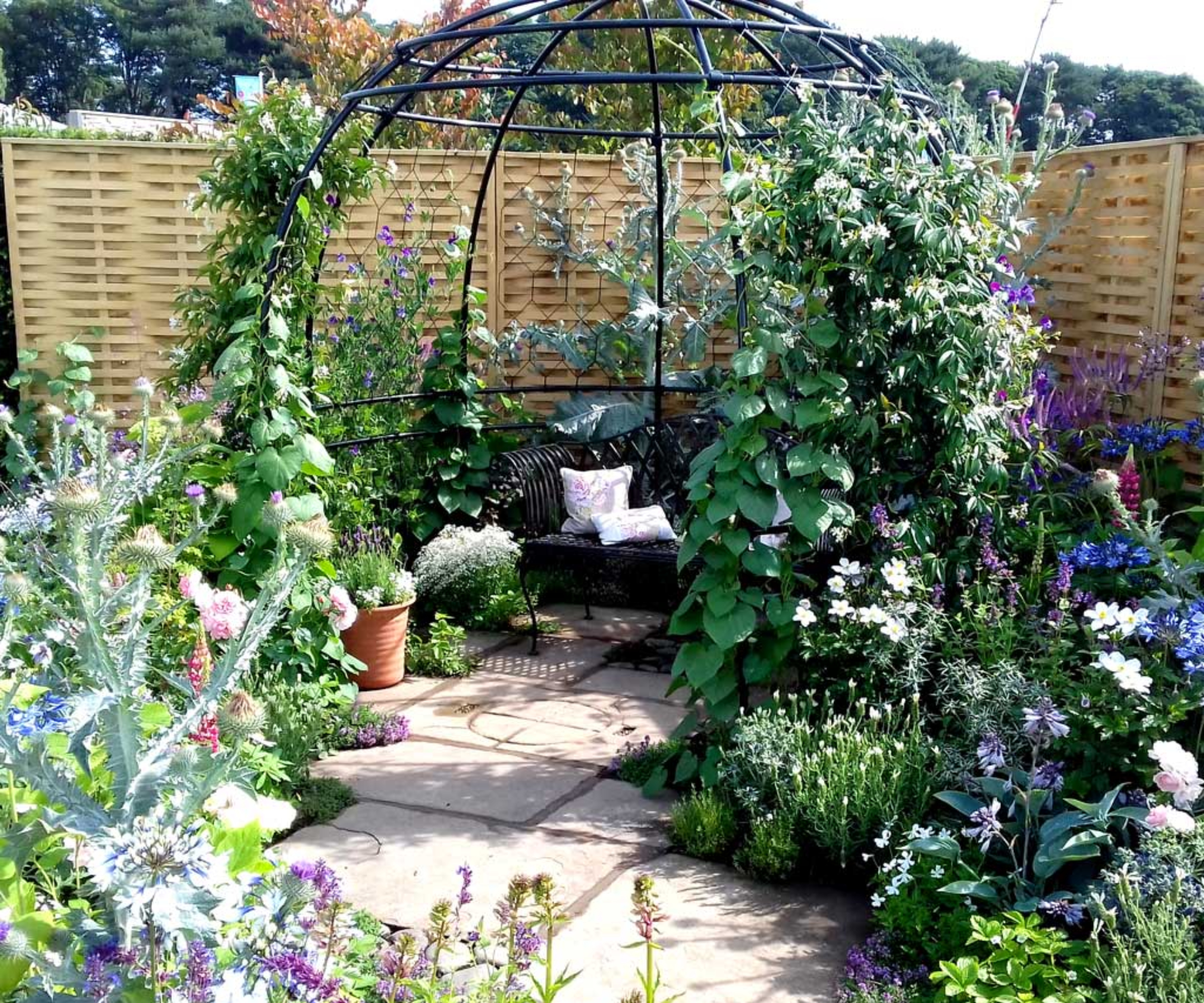 metal domed arbour covered in climbing plants in corner of patio with seating and fence behind