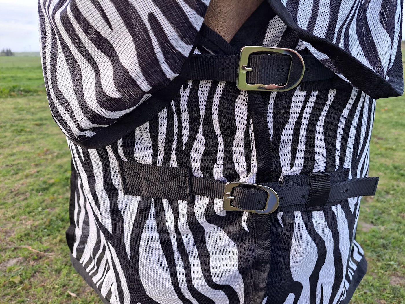 StormX buckles
