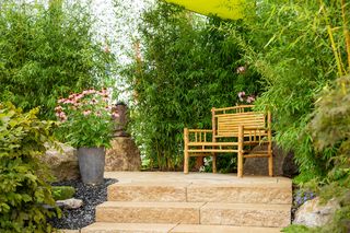 Bamboo is a popular choice in gardens