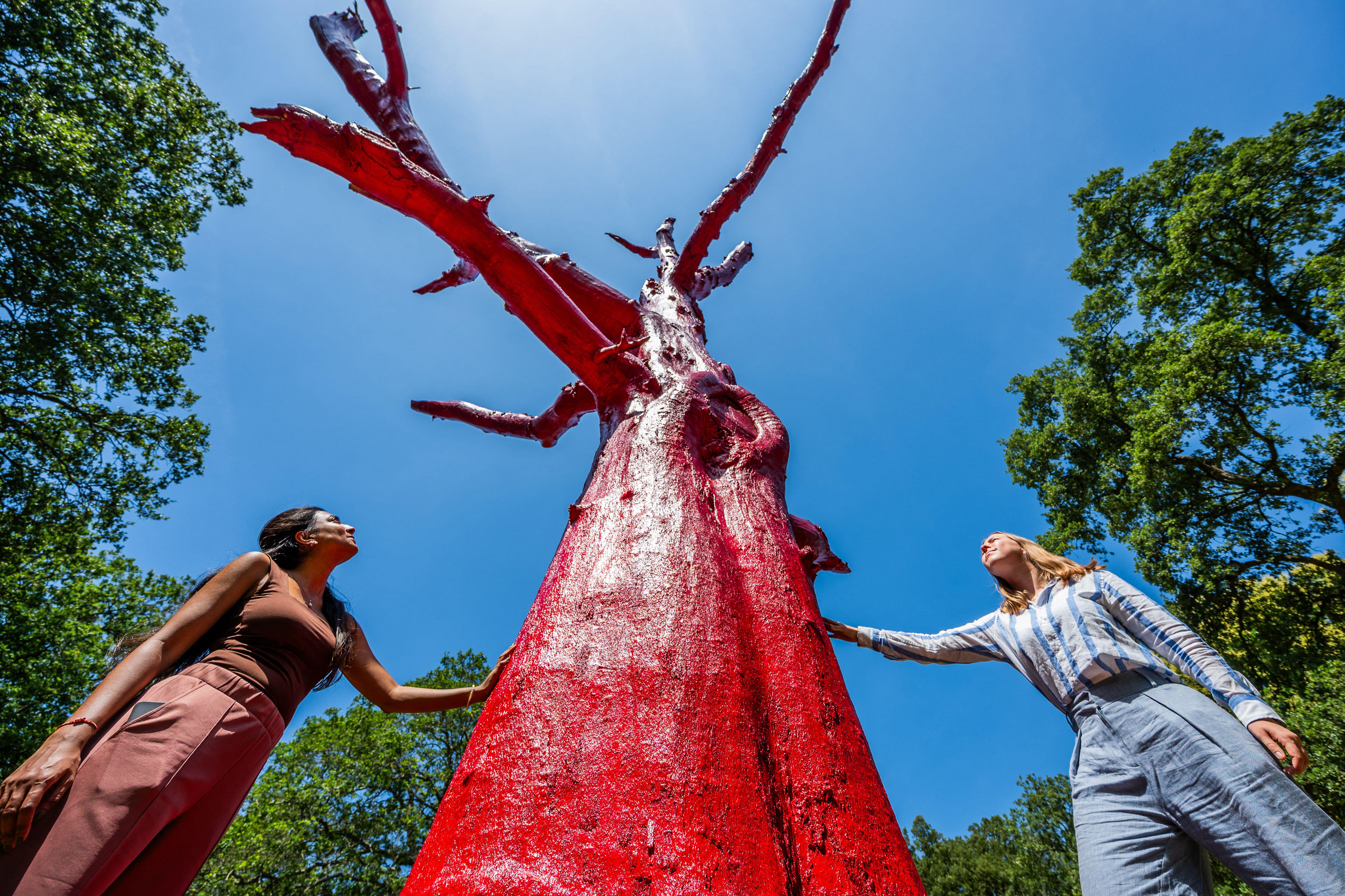 A red tree
