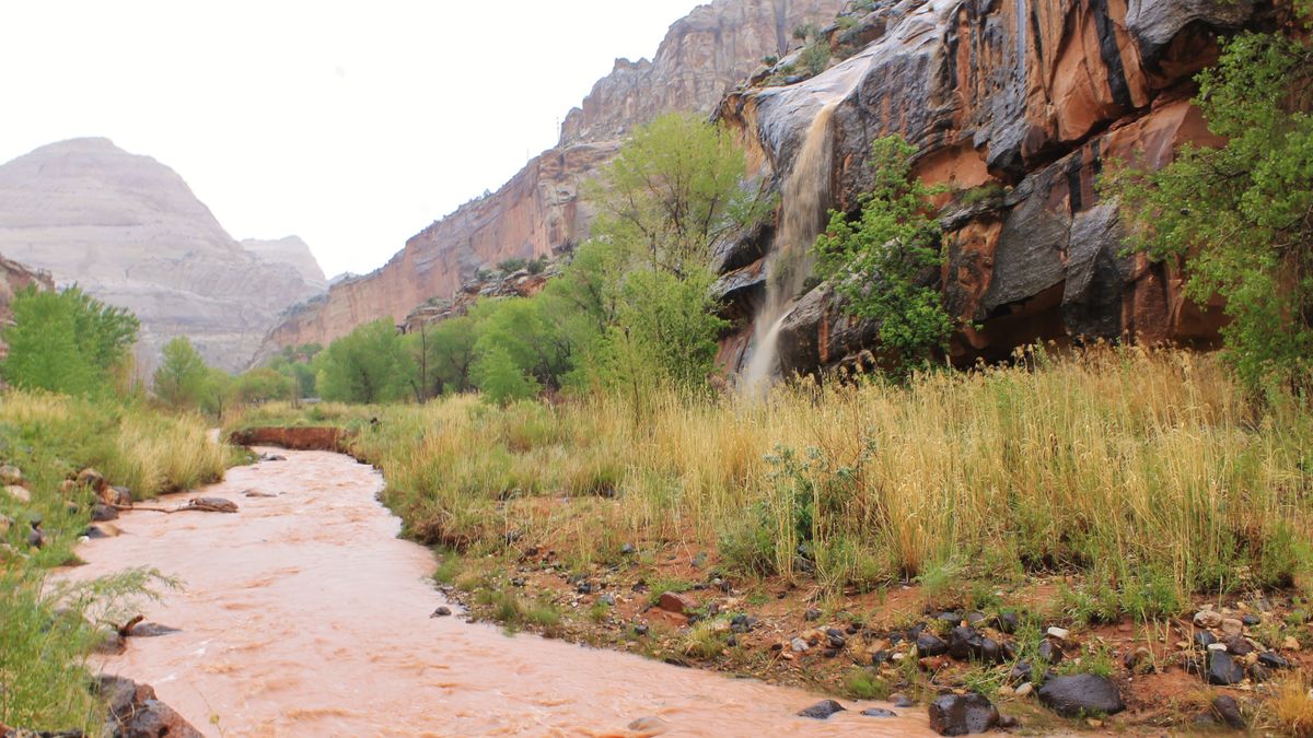 A flash flood in the desert